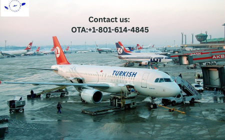 How Do I Talk to a Someone at Turkish Airlines? – Connect in Minutes