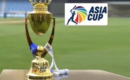 Asia Cup 2025: Exciting T20 Action is Coming