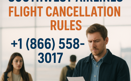 Southwest Airlines Cancel Flight: Complete Guide to Policies, Fees, and Rules