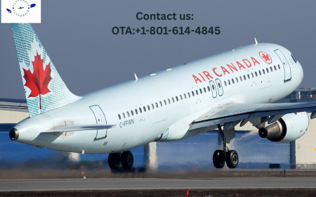 How do I ask for an upgrade with Air Canada? No Stress, Just Follow!