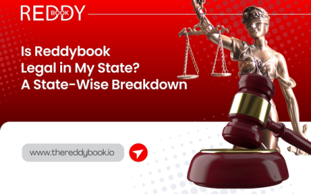 Reddybook App vs Website – Which is Better for Casino Gaming?