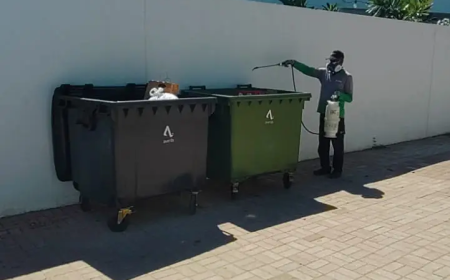 Say Goodbye to Pests with Expert Pest Control in Sharjah and Dubai