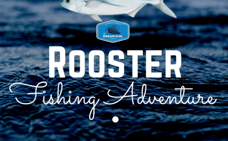 A Complete Guide to Rooster Fishing in Costa Rica Waters