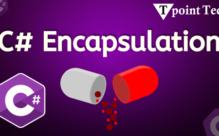 Mastering C# Encapsulation: A Beginner’s Guide