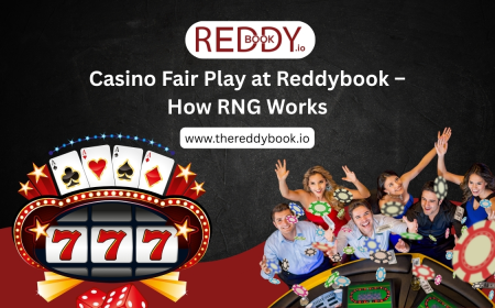 Casino Fair Play at Reddybook – How RNG Works