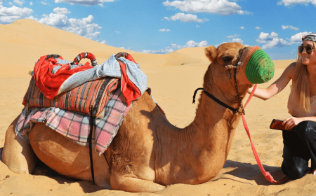 Desert Safari Abu Dhabi – Your Gateway to Adventure and Culture