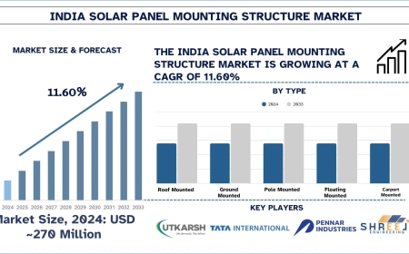 India Solar Panel Mounting Structure Market Size & Share (2025-2033) | UnivDatos
