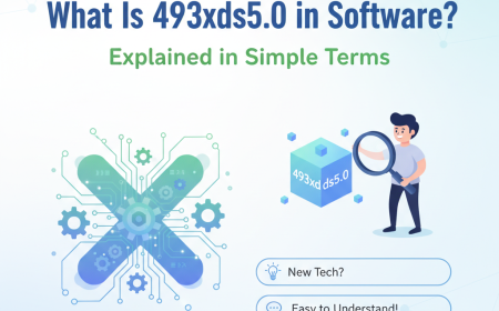 What Is 493xds5.0 in Software? Explained in Simple Terms