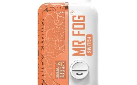 Mr Fog Vapes: Ultimate Guide to Mr Fog Vape Flavors