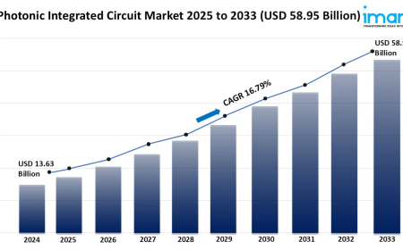 Photonic Integrated Circuit Market Size, Growth, and Forecast 2025-2033