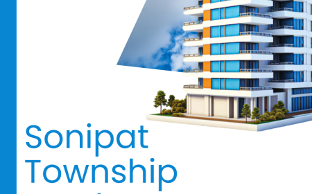 Premium Sonipat township land Development
