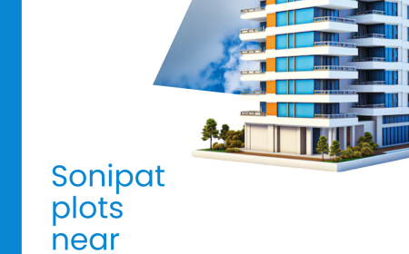 Best Business Locations: Sonipat Industrial Plots