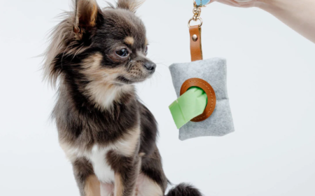 How To Choose The Right Dog Poop Bag Holder For Your Pet