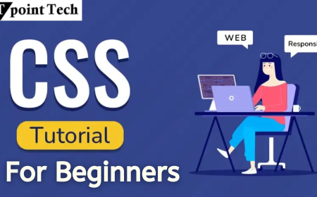 Master CSS Basics with This Beginner-Friendly Tutorial