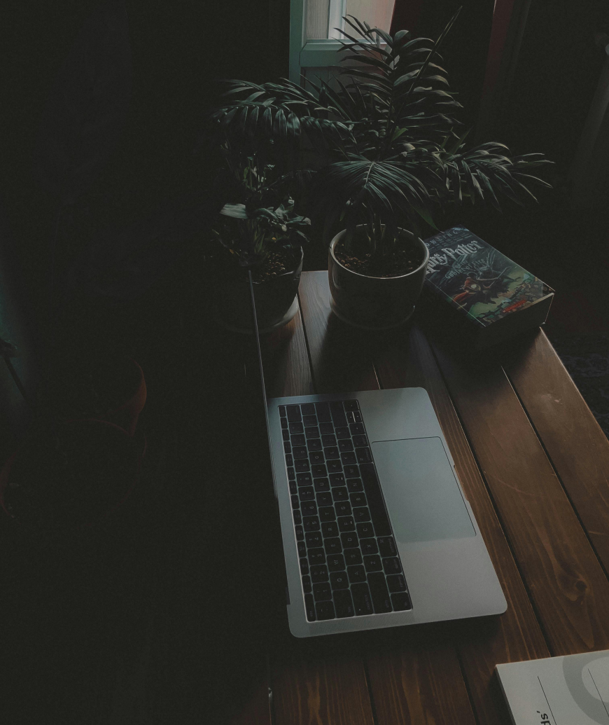 Shopify eCommerce Development Services to Grow Your Online Store