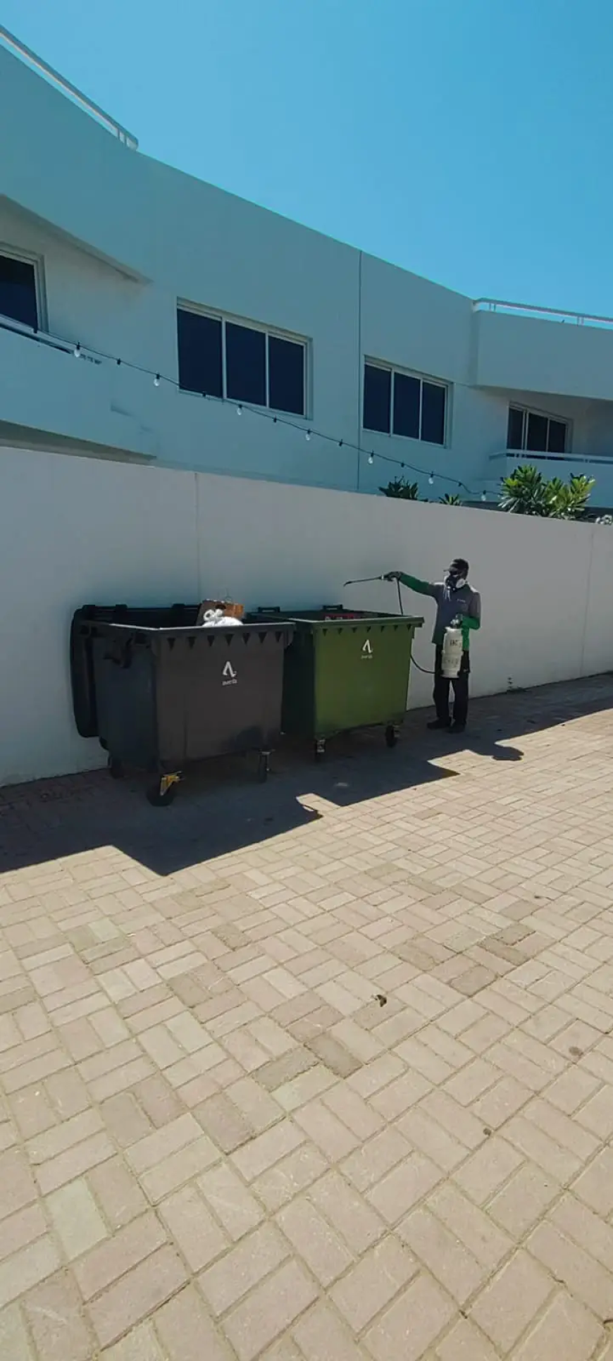 Say Goodbye to Pests with Expert Pest Control in Sharjah and Dubai