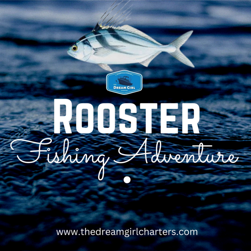 A Complete Guide to Rooster Fishing in Costa Rica Waters