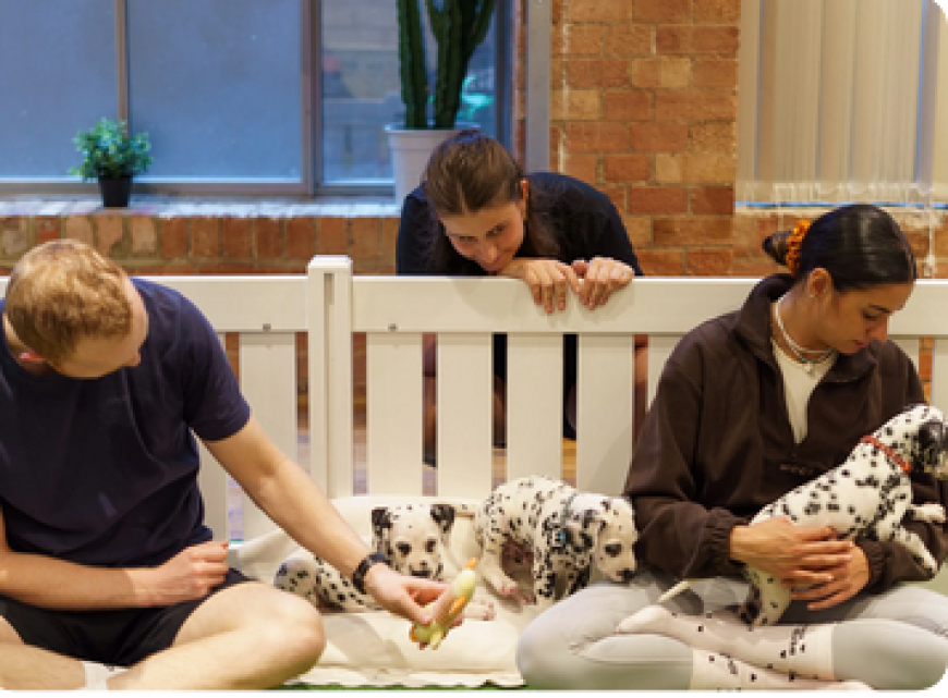 Is Puppy Yoga Suitable for Beginners? (Yes - Here's Why)