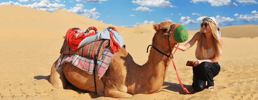 Desert Safari Abu Dhabi – Your Gateway to Adventure and Culture