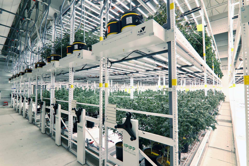 Simplify Plant Care Using Greenhouse Growing Trays