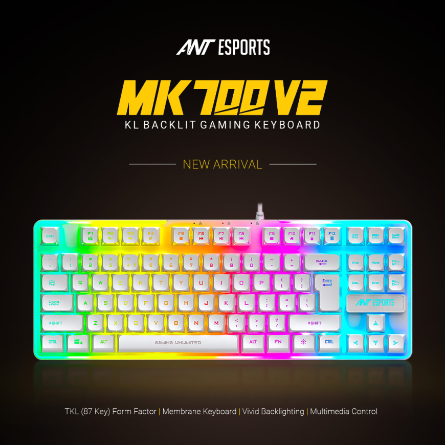 Ant Esports: Redefining Performance with Gaming Keyboards