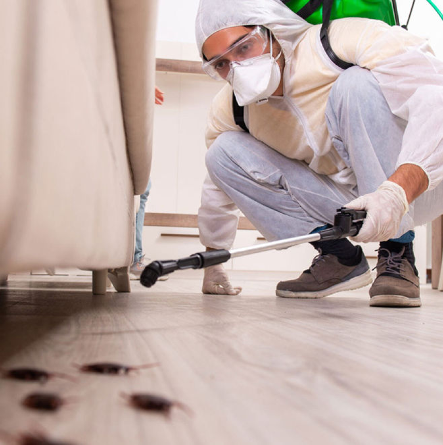 Expert Sanitizing for a Healthier Community