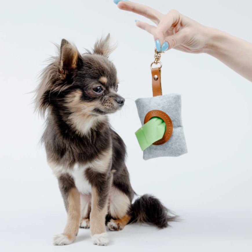 How To Choose The Right Dog Poop Bag Holder For Your Pet
