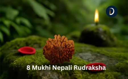 Original 8 Mukhi Nepali Rudraksha | Meaning And Uses