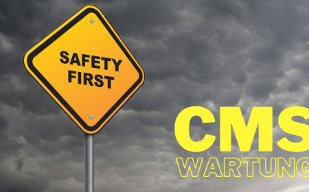 Who Benefits Most From Professional CMS Wartung Services?