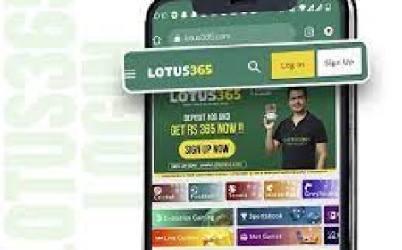 🌸 Lotus365: The complete guide to login, features and safe games