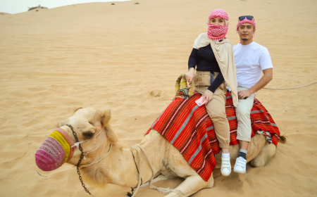 Adrenaline and Arabian Nights An Unforgettable Dubai Desert Safari