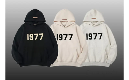 Essentials Hoodie: A Unique Piece