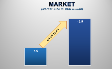 Market Analysis: The Growing Demand for CBD Infused Beverages