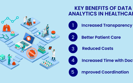 Top Companies Leading the Global Healthcare Analytics Market in 2025