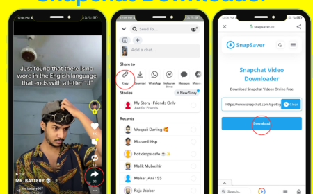 Snapchat Downloader – Download Snapchat Stories in HD