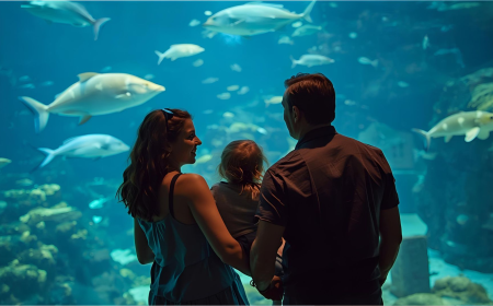 Best Family Vacations in Florida: Fun, Sun, and Unforgettable Memories