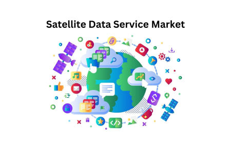 Satellite Data Services Market Report: Industry Outlook 2033