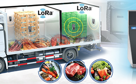Strategies Adopted by Leaders in the Cold Chain Logistics Market