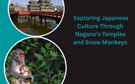 Exploring Japanese Culture Through Nagano’s Temples and Snow Monkeys
