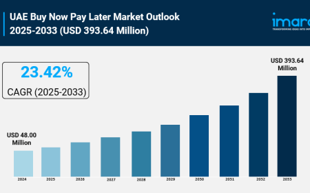 UAE Buy Now Pay Later Market Report, Share & Analysis 2025-2033