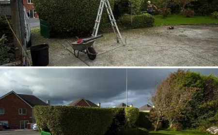 Seasonal Garden Maintenance Galway: What to Do Month by Month