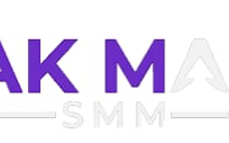 Best SMM Panel — Pak Main SMM