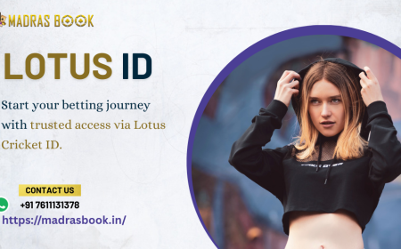 Everything About Lotus ID You Should Know Before Logging In