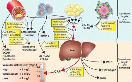 Why Asia-Pacific Is the Fastest-Growing CRP Testing Market