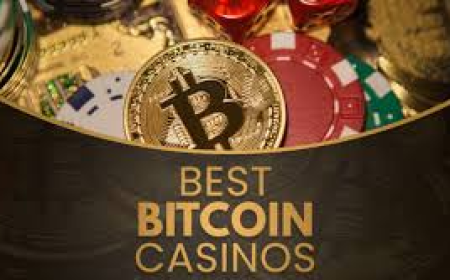 암호화폐 카지노의 장점과 활용 방안