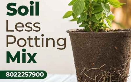 Discover the Best Soil Less Potting Mix for Healthy Plant Growth