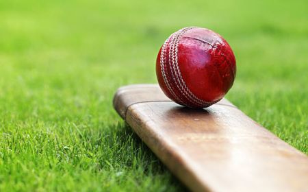 Experience Next-Level Cricket Entertainment with Tigerexch 247