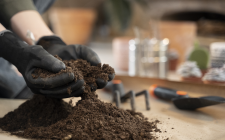 Why Choosing the Right Potting Soil Mix is the Secret to Healthier Indoor Plants