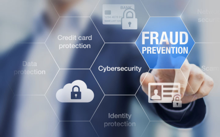 Which Fraud Types Are Most Commonly Detected by FDP Systems?