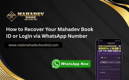 How to Recover Your Mahadev Book ID or Login via WhatsApp Number